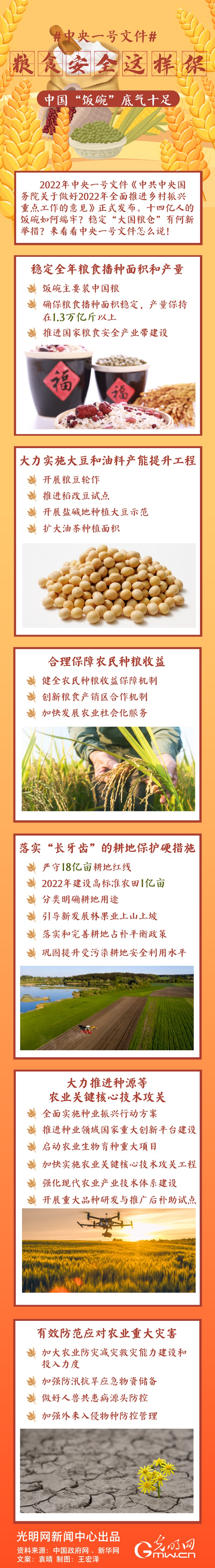 中央一號(hào)文件｜糧食安全這樣保，中國(guó)“飯碗”底氣十足