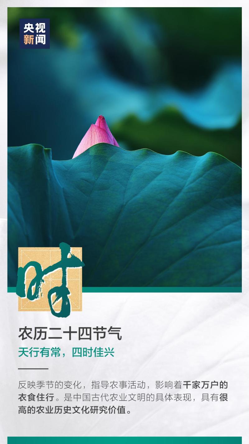這也太浪漫了吧！