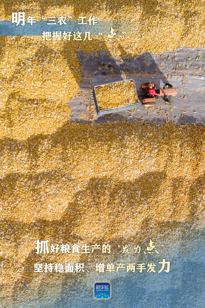 明年“三農(nóng)”工作，這幾個(gè)“點(diǎn)”要把握好