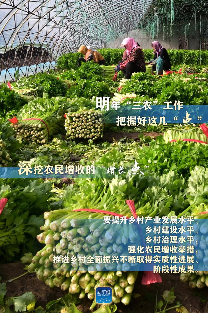明年“三農(nóng)”工作，這幾個(gè)“點(diǎn)”要把握好