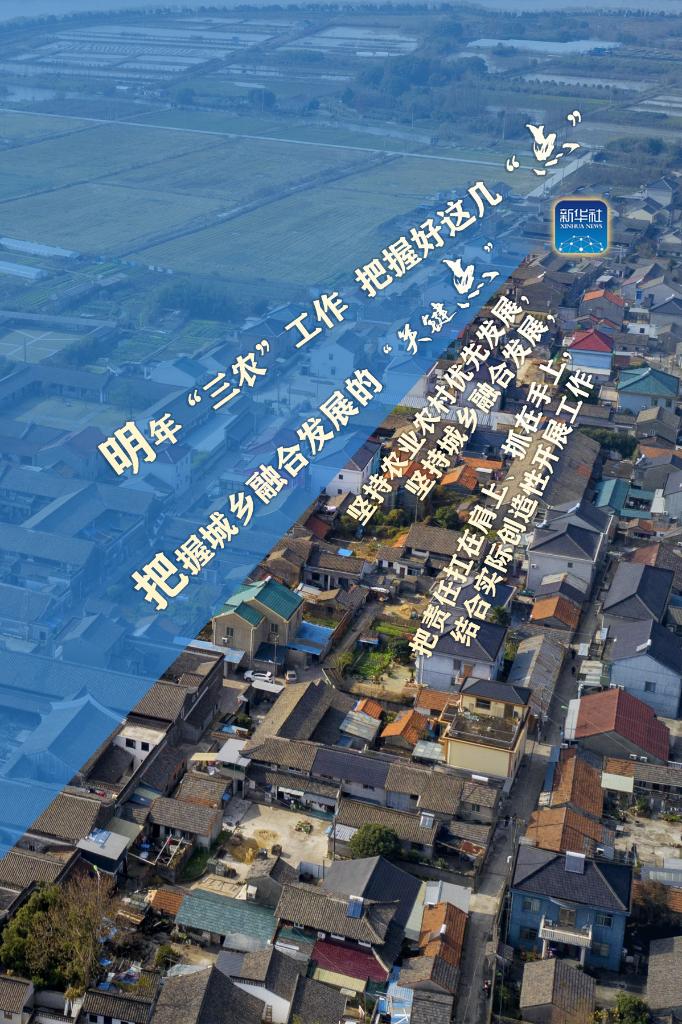 明年“三農(nóng)”工作，這幾個(gè)“點(diǎn)”要把握好