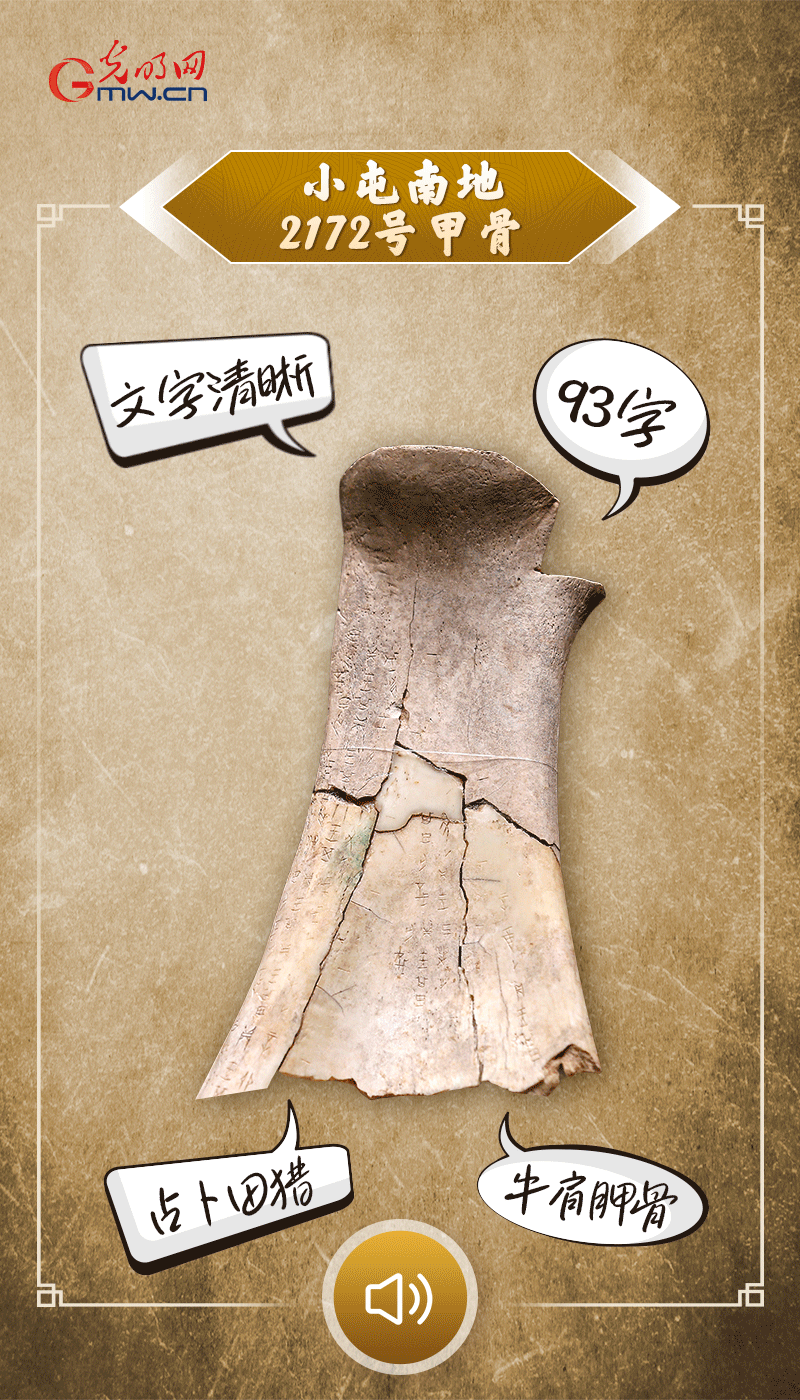 文物會(huì)說話 | 殷墟博物館新館開館啦，帶你奔赴“千年之約”