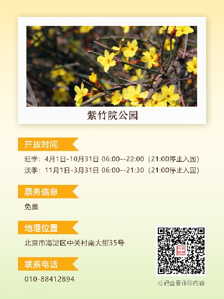 追花指南第二期！京城三月里最撩人的玉蘭觀賞地