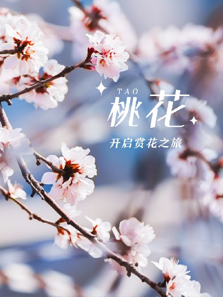 追花指南第三期！別等了 今天就去和桃花撞個(gè)滿(mǎn)懷