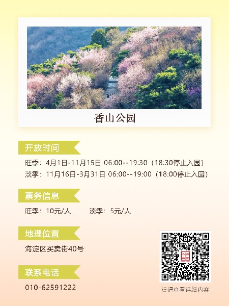 追花指南第六期！杏花雨 楊柳風(fēng) 北京最美的杏花在這里