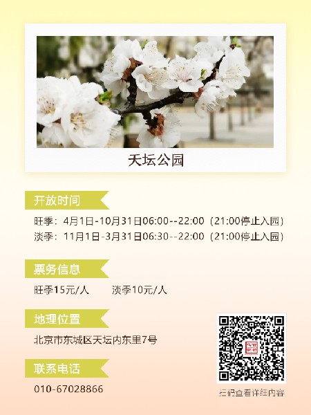 追花指南第六期！杏花雨 楊柳風(fēng) 北京最美的杏花在這里