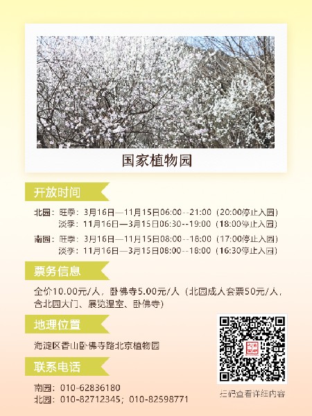 追花指南第六期！杏花雨 楊柳風(fēng) 北京最美的杏花在這里