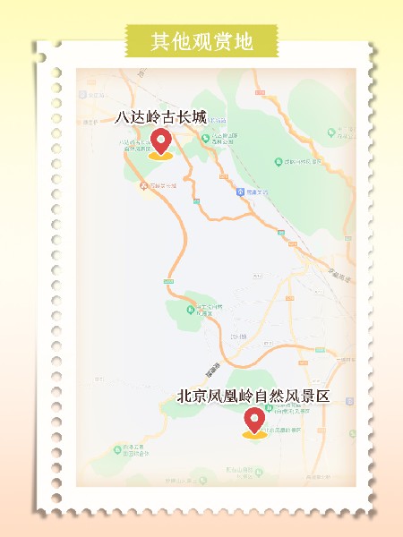 追花指南第六期！杏花雨 楊柳風(fēng) 北京最美的杏花在這里
