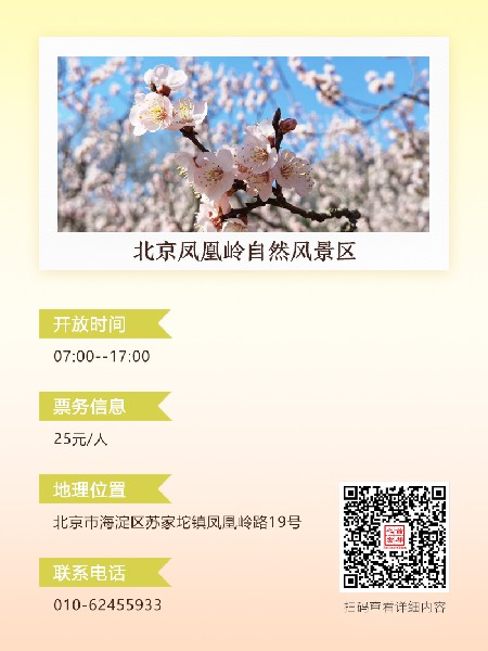 追花指南第六期！杏花雨 楊柳風(fēng) 北京最美的杏花在這里