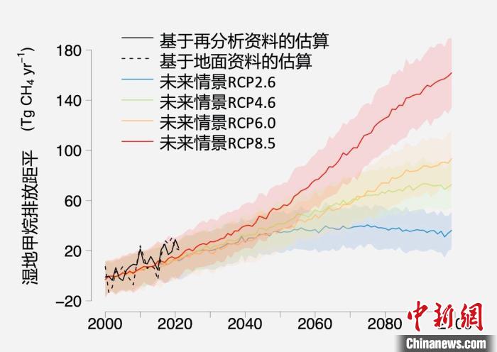 基于觀測(cè)的濕地甲烷排放變化與未來(lái)氣候變化情景下估算的對(duì)比?！≈锌圃呵嗖馗咴?供圖