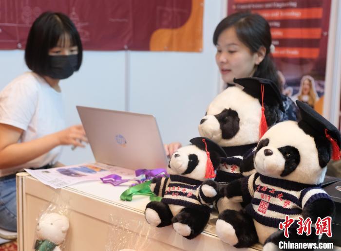 北京理工大學(xué)帶來可愛熊貓玩偶，頗為吸睛 陳悅 攝