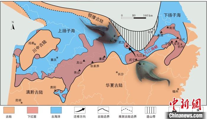華南地區(qū)志留紀(jì)早期古地理圖和盔甲魚類化石產(chǎn)地(山顯任改自陳旭、戎嘉余，1996；戎嘉余等，2012) 中科院古脊椎所 供圖