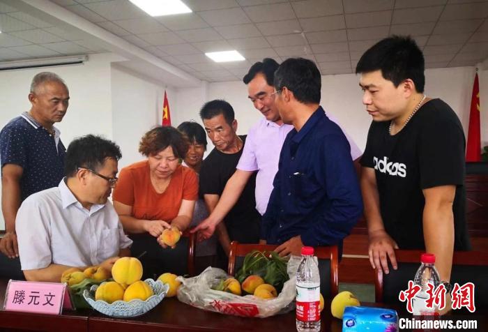 民進(jìn)浙江省委會為三里橋黃桃種植戶送技術(shù)、送指導(dǎo)?！〖紊平y(tǒng)戰(zhàn) 供圖