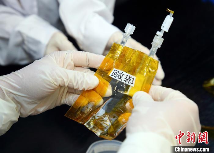 隨神舟十五號返回地面的空間科學(xué)實(shí)驗(yàn)樣品?！≈锌圃嚎臻g應(yīng)用中心 供圖