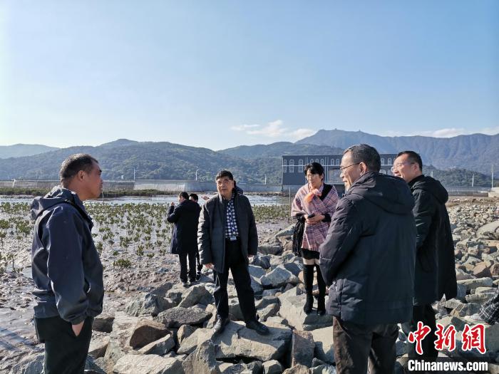 浙江海洋生態(tài)觀察：智慧大腦如何解鎖藍(lán)色發(fā)展密碼？