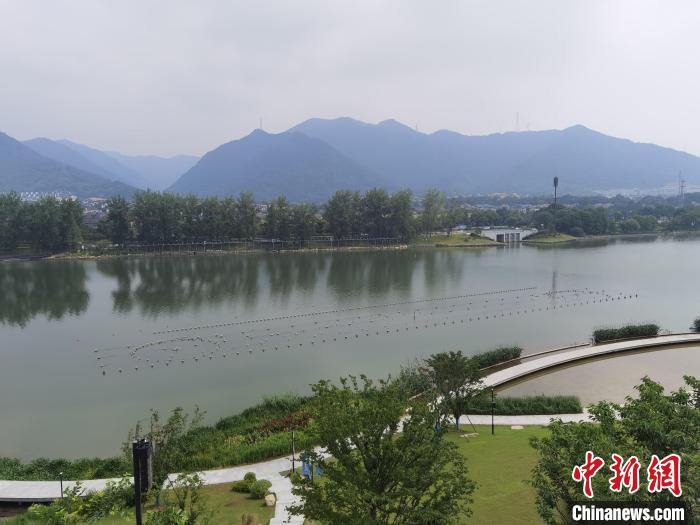 兩岸媒體共探杭州亞運會“綠”在何處？
