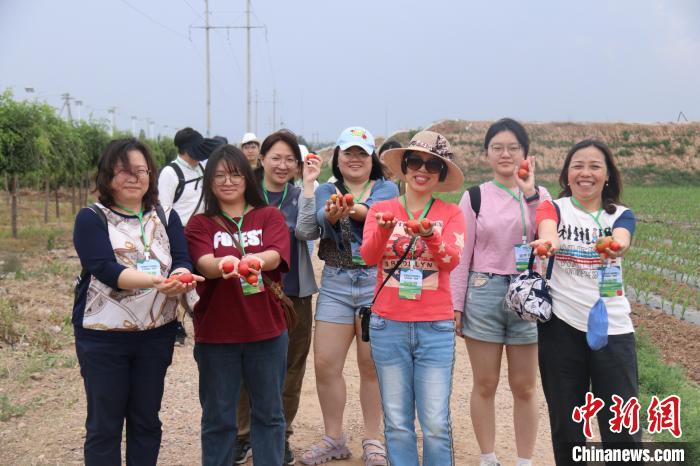 圖為臺胞體驗大美內(nèi)蒙古?！⊥袐I供圖