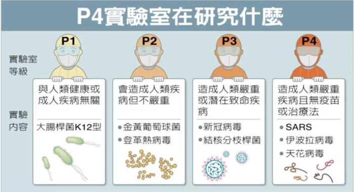 P4實(shí)驗(yàn)室在研究什么。臺灣聯(lián)合新聞網(wǎng)資料圖
