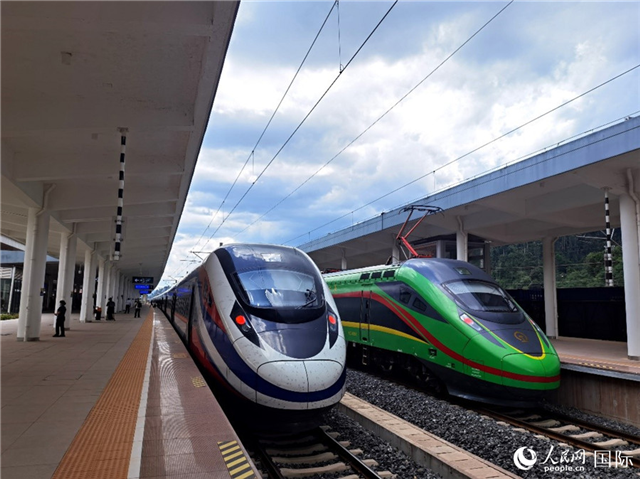 “復(fù)興號”和“瀾滄號”國際旅客列車?？吭诶蠐肽ザ≌?。人民網(wǎng) 杜明明攝