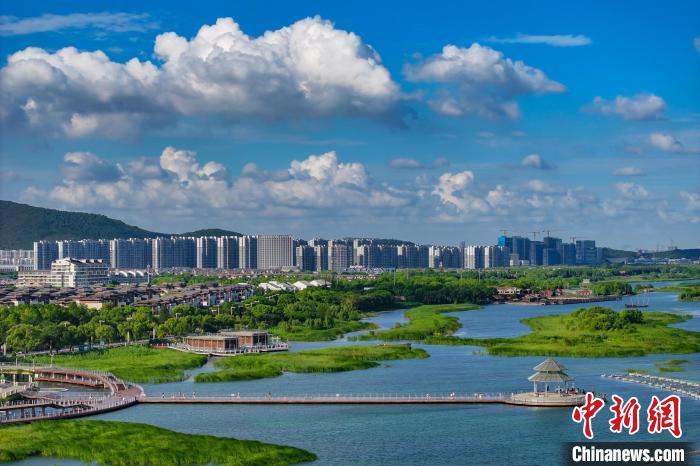 資料圖：航拍蘇州太湖湖濱國家濕地公園，藍(lán)天碧水生態(tài)美。 泱波 攝