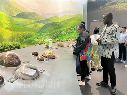   （在中國(guó)藥都中醫(yī)藥博物館，外媒記者了解中醫(yī)藥發(fā)展史。中國(guó)經(jīng)濟(jì)周刊記者 郭志強(qiáng) 攝）
