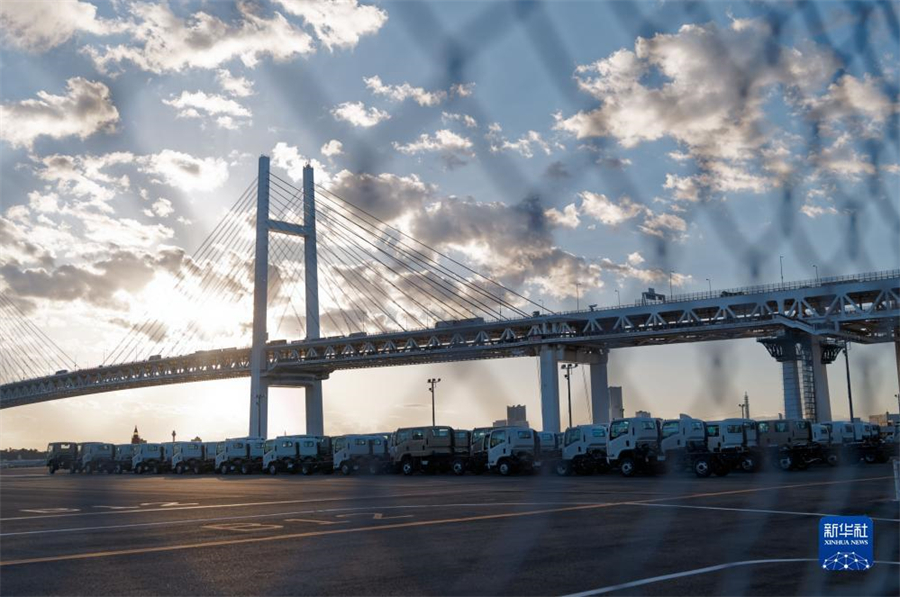 這是11月14日在日本橫濱拍攝的進(jìn)出口汽車集散場(chǎng)地。新華社記者 張笑宇 攝