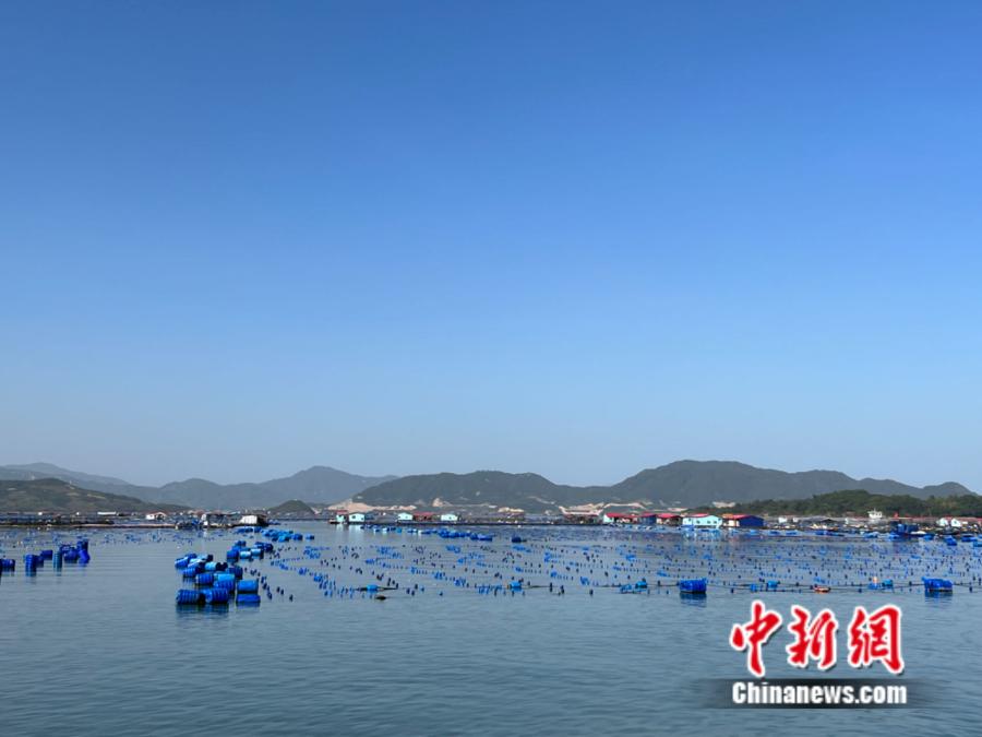 霞浦縣海上魚排。<a target='_blank' href='/' ><p  align=