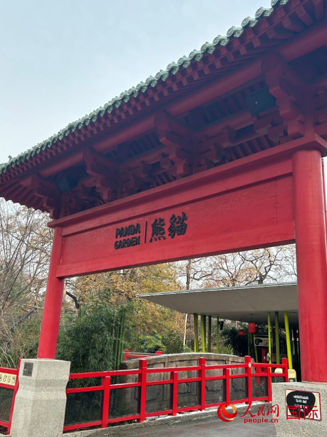 柏林動物園的熊貓館，占地約5500平方米。人民網(wǎng)記者 徐馨攝