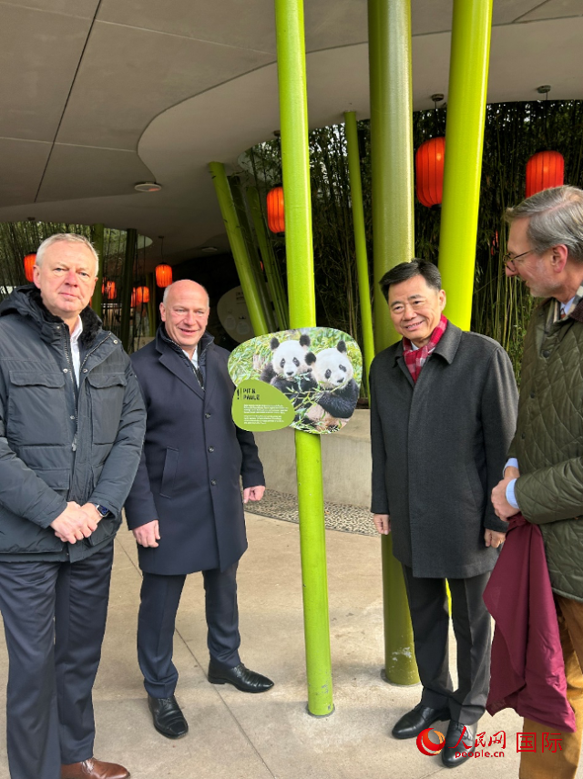 中國駐德國大使吳懇（右二）、柏林市長韋格納（左二）、動物園園長克尼里姆（右一）和監(jiān)事會主席布魯克曼（左一）共同為“夢想”“夢圓”大熊貓紀(jì)念牌揭幕。人民網(wǎng)記者 徐馨攝