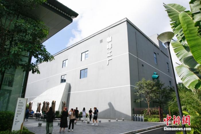 圖為采訪團(tuán)一行參觀咖啡工廠。 曹淼欣 攝