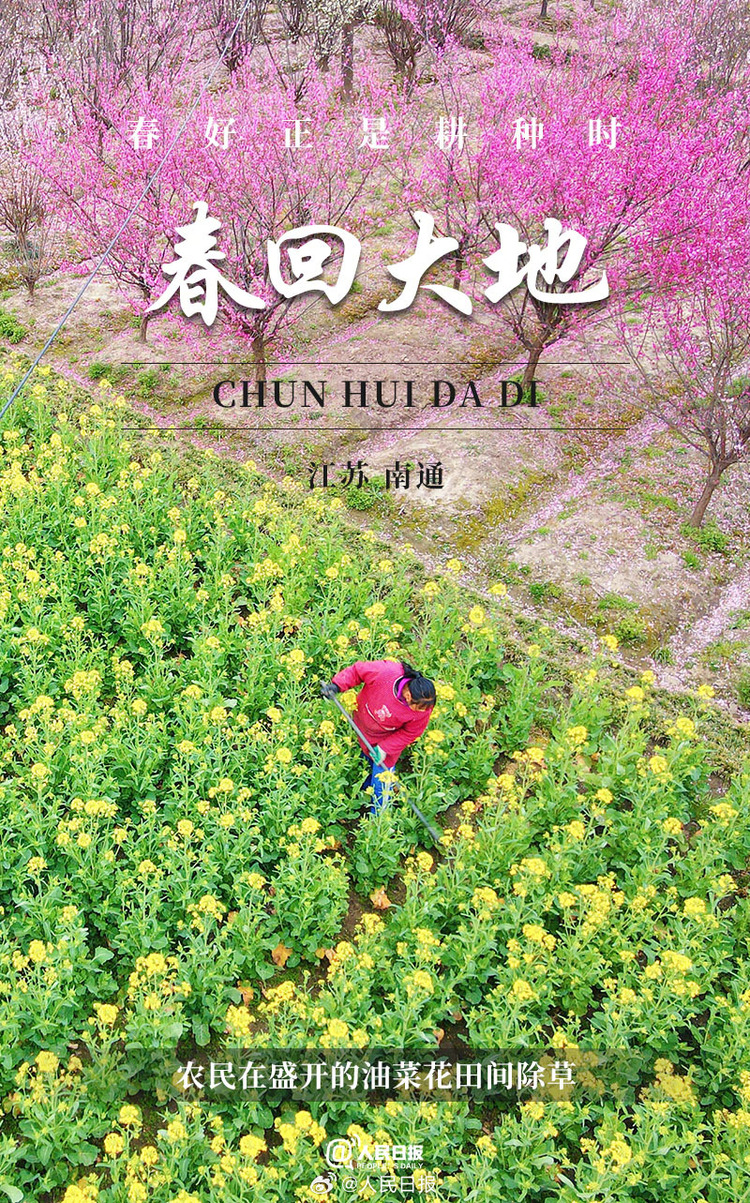 生機(jī)盎然！用課本封面打開春耕畫卷