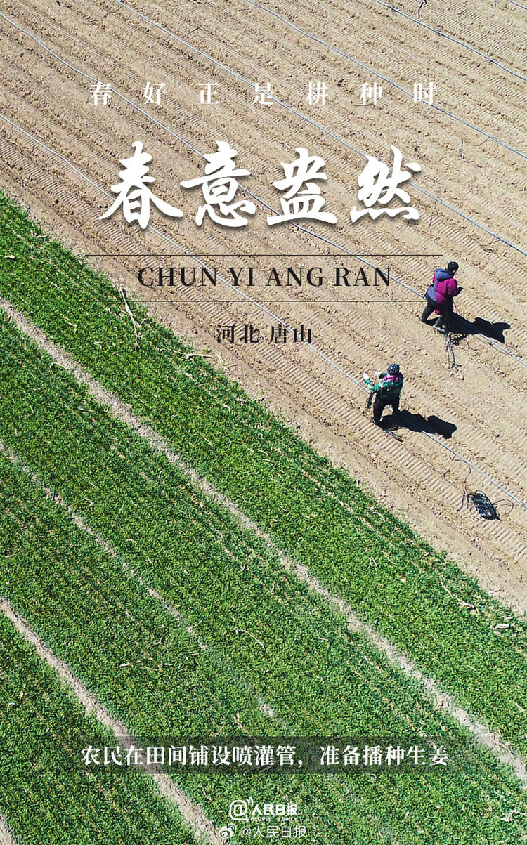 生機(jī)盎然！用課本封面打開春耕畫卷