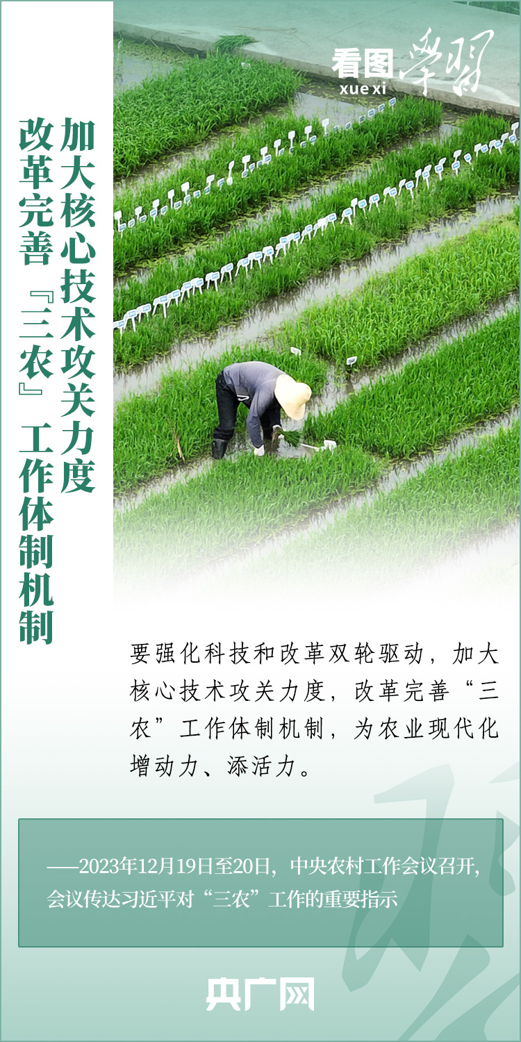 看圖學(xué)習(xí)丨推廣良田、良種、良法、良機(jī) 給農(nóng)業(yè)現(xiàn)代化插上科技的翅膀