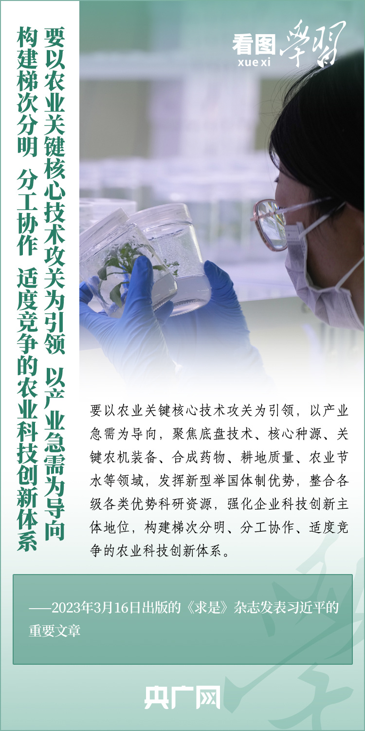看圖學(xué)習(xí)丨推廣良田、良種、良法、良機(jī) 給農(nóng)業(yè)現(xiàn)代化插上科技的翅膀