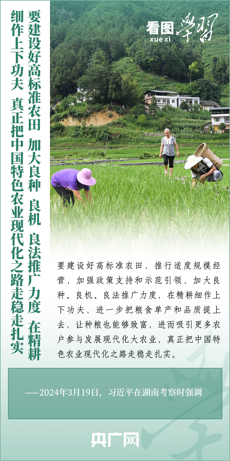 看圖學(xué)習(xí)丨推廣良田、良種、良法、良機(jī) 給農(nóng)業(yè)現(xiàn)代化插上科技的翅膀