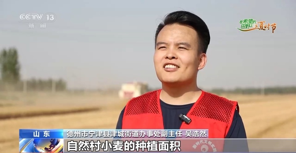 “三夏”生產(chǎn)思維導(dǎo)圖安排上了！還有政府大院等你來(lái)“曬”