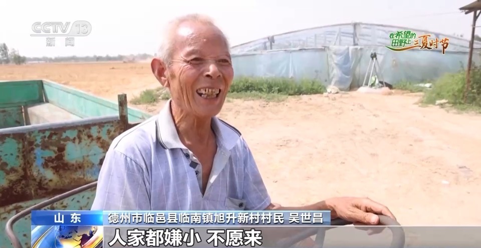 “三夏”生產(chǎn)思維導(dǎo)圖安排上了！還有政府大院等你來(lái)“曬”