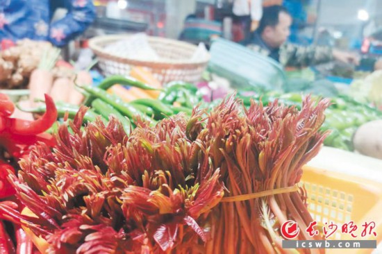　　農(nóng)貿(mào)市場(chǎng)里鮮嫩的香椿。　　均為長(zhǎng)沙晚報(bào)全媒體記者 劉捷萍 攝