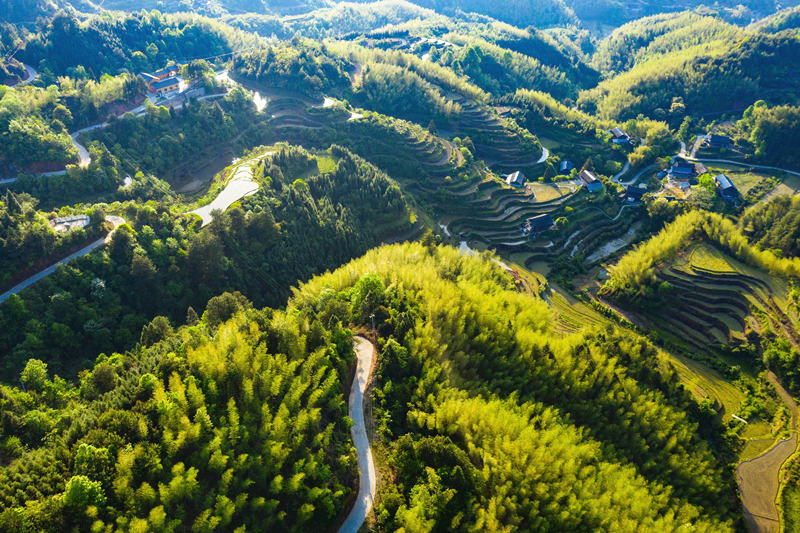 會(huì)同縣高椅鄉(xiāng)雪峰村的產(chǎn)業(yè)路盤旋在綠色的大山之間。田文國攝