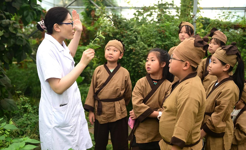 參加活動的孩子聆聽滄州市人民醫(yī)院國醫(yī)館中醫(yī)對中藥材的講解。 傅新春攝