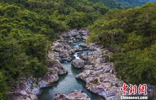 2018年海南生態(tài)環(huán)境狀況等級(jí)為“優(yōu)”，植被覆蓋率高，生物多樣性豐富，生態(tài)系統(tǒng)穩(wěn)定，圖為海南中部熱帶雨林?！●樤骑w　攝