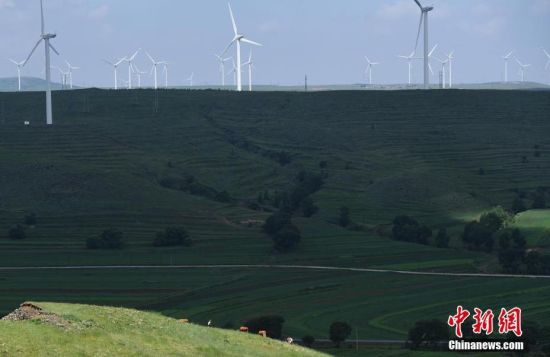 6月28日，河北張家口張北草原上大片風(fēng)力發(fā)電的“風(fēng)車”規(guī)模宏大。 中新社記者 楊艷敏 攝
