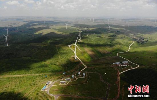 6月28日，河北張家口張北草原上大片風(fēng)力發(fā)電的“風(fēng)車”規(guī)模宏大。 中新社記者 楊艷敏 攝