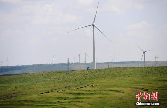 6月28日，河北張家口張北草原上大片風(fēng)力發(fā)電的“風(fēng)車”規(guī)模宏大。 中新社記者 楊艷敏 攝