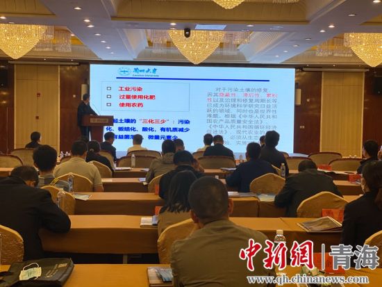 圖為論壇現(xiàn)場。李江寧攝