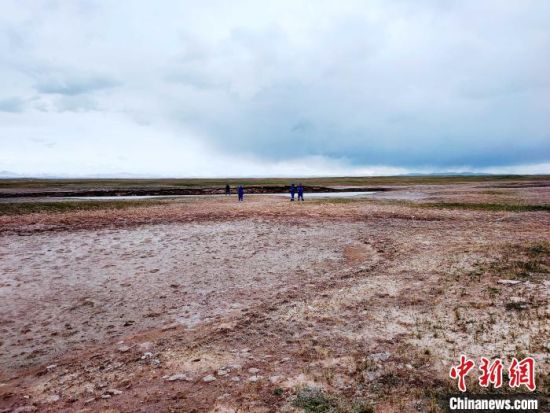 圖為救援力量在青海省西部搜救失聯(lián)的江蘇南京某大學(xué)女生黃某某。海西州藍(lán)天應(yīng)急救援中心 供圖