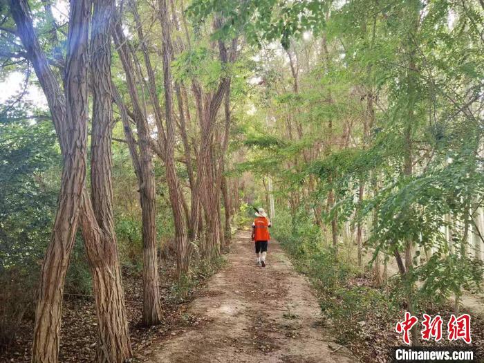 戈壁灘上的護林員：以前風(fēng)吹睜不開眼，現(xiàn)在滿眼皆綠色