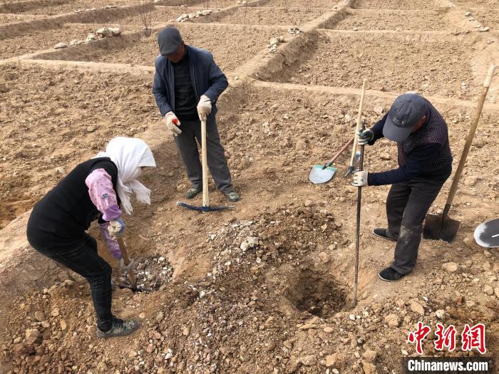 資料圖為建行青海省分行綠化區(qū)施工隊(duì)隊(duì)員處理亂石?！〗ㄐ星嗪Ｊ》中泄﹫D