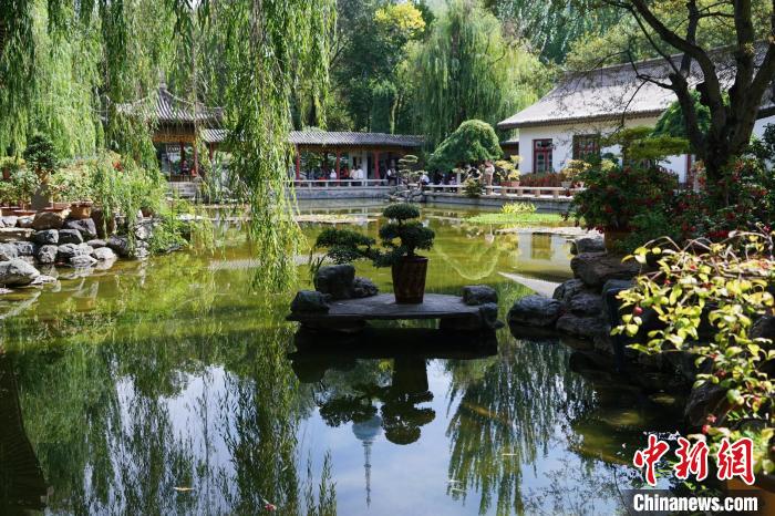 圖為西寧園林植物園秋日風景別有韻味?！●R銘言 攝