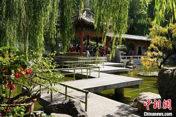 圖為西寧園林植物園秋日風景別有韻味?！●R銘言 攝